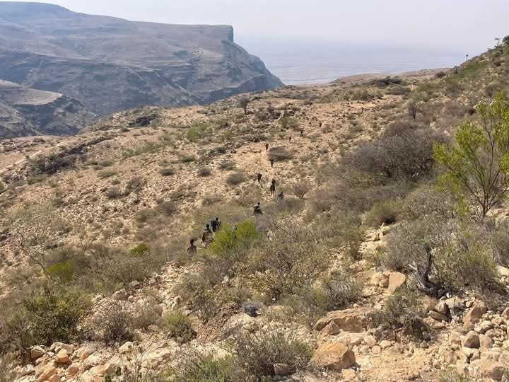 Ciidanka-Puntland-Buuraleyda